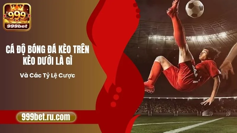 Cá Độ Bóng Đá Kèo Trên Kèo Dưới Là Gì Và Các Tỷ Lệ Cược